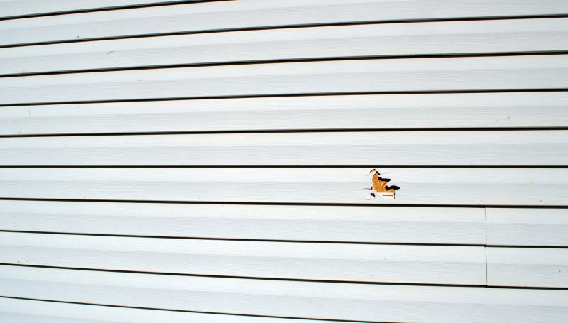 Summer Siding Maintenance